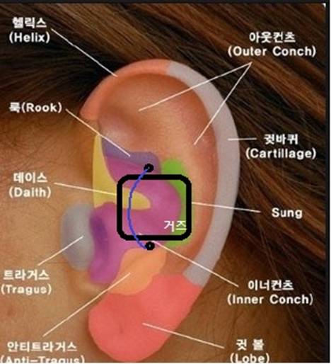 ear2.jpg